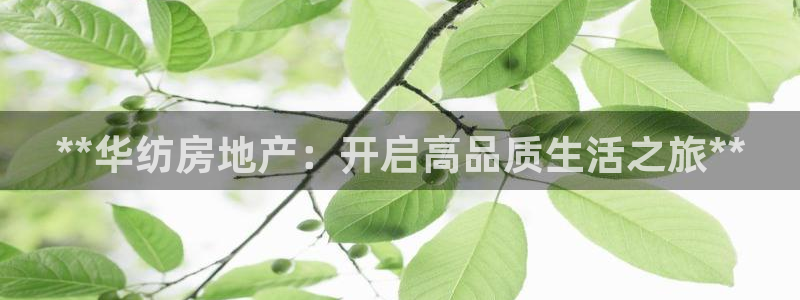 万向娱乐官网网址是什么