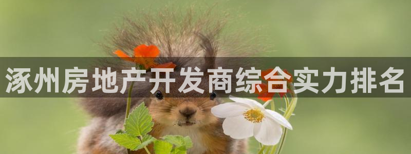 万向娱乐平台代理怎么样可靠吗