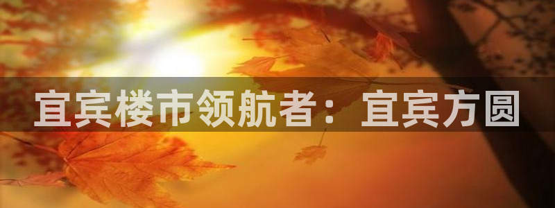 万向娱乐平台好不
