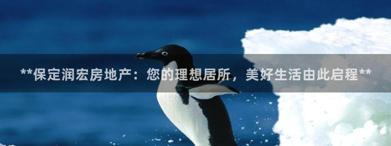 万向娱乐平台代理多少钱一个