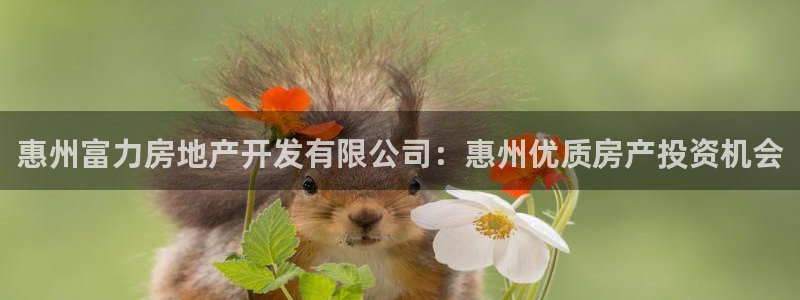 万向娱乐
