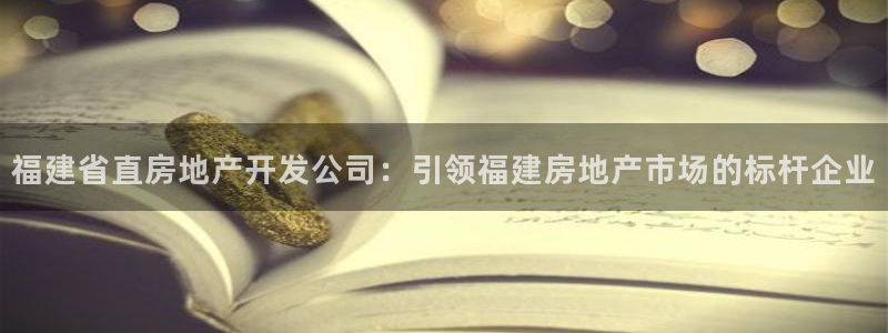 万向娱乐公司 585.34I 娱乐