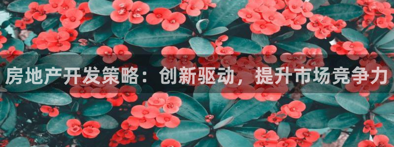 万向娱乐挂机