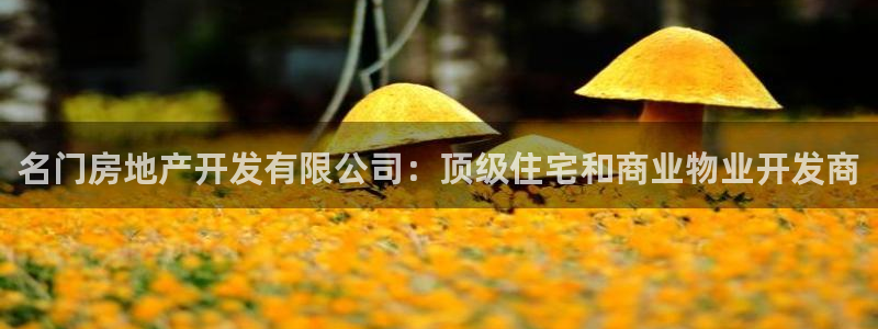 万向娱乐app下载安装