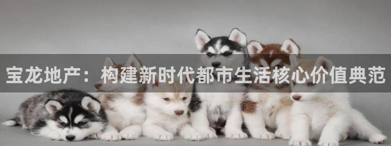 万向娱乐代理好看视频是真的吗