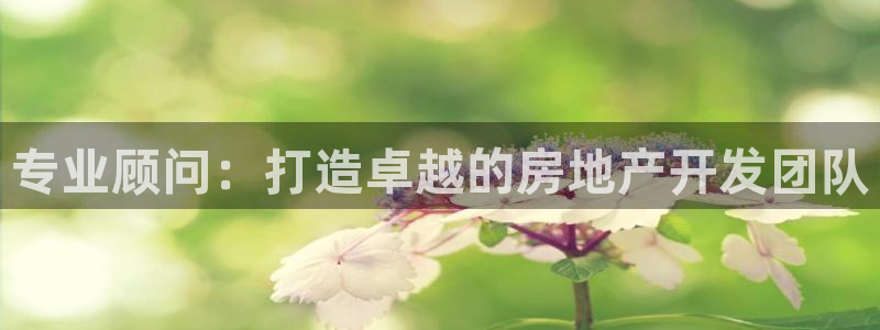 万向娱乐网址是什么