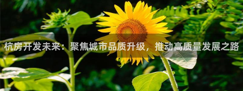 万向娱乐技术分享