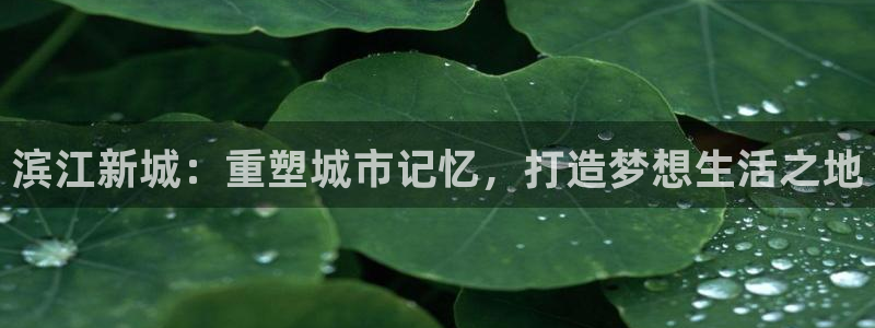万向娱乐平台代理