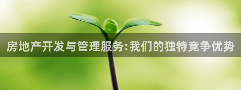 万向娱乐登陆