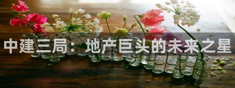 万向娱乐登陆