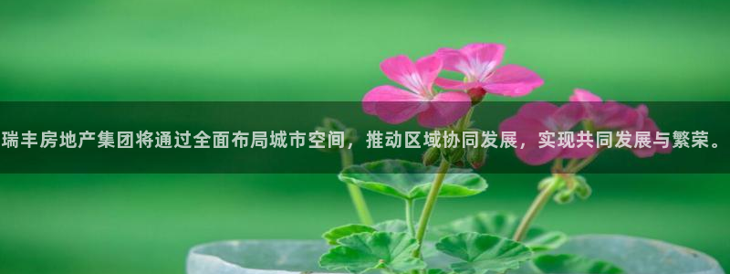 万向娱乐挂机