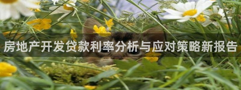 万向娱乐王者荣耀