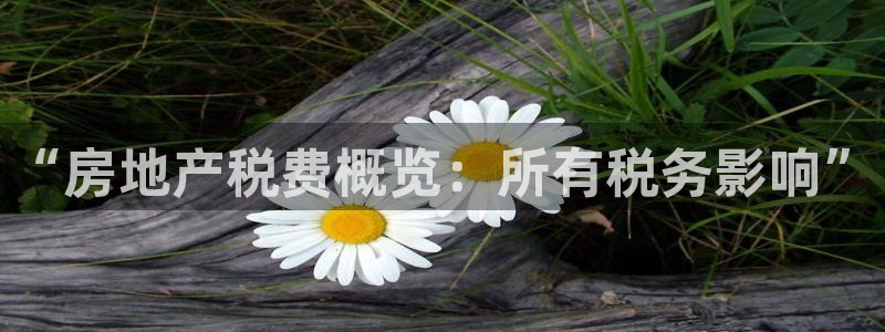 万向娱乐的联系方式是什么