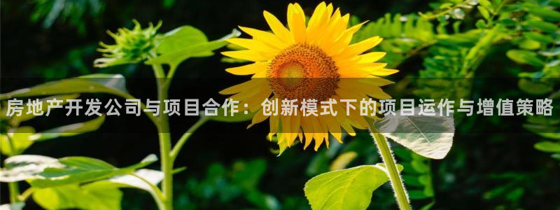 万向娱乐平台代理怎么样
