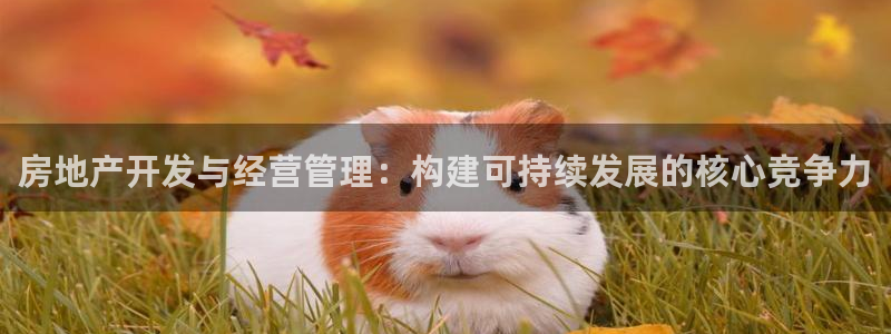 万向娱乐总代