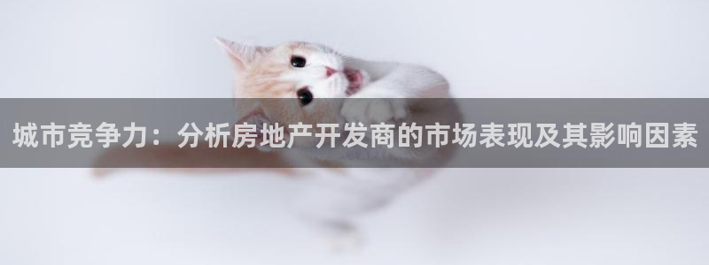 万向娱乐代理好看视频