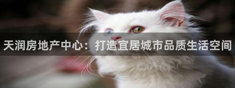 万向娱乐的494o3 主管