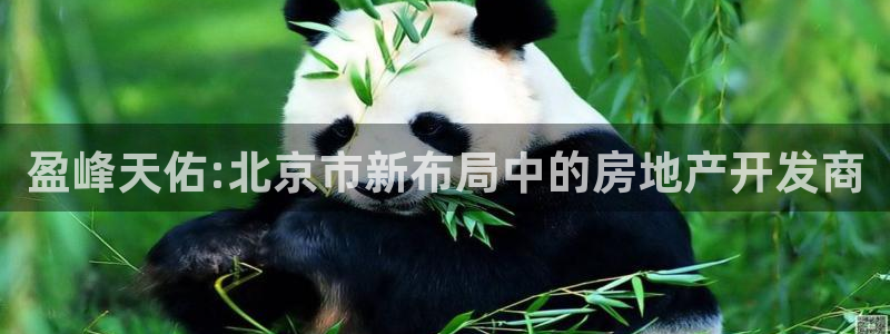 万向娱乐平台代理怎么样可靠吗