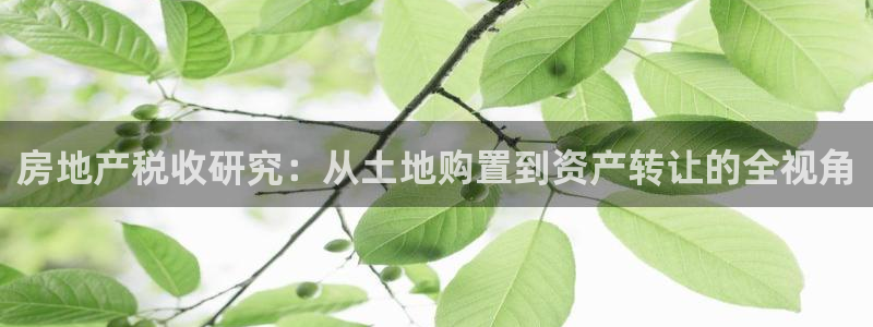 万向娱乐灯333OO
