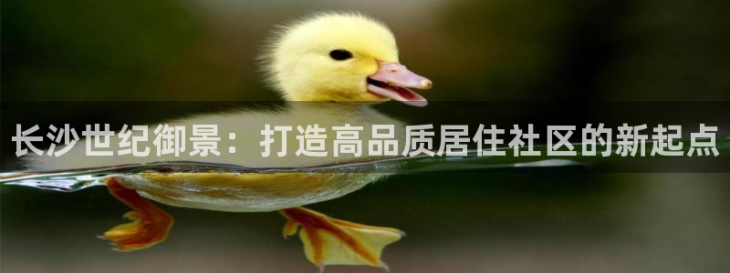 万向娱乐app下载苹果版