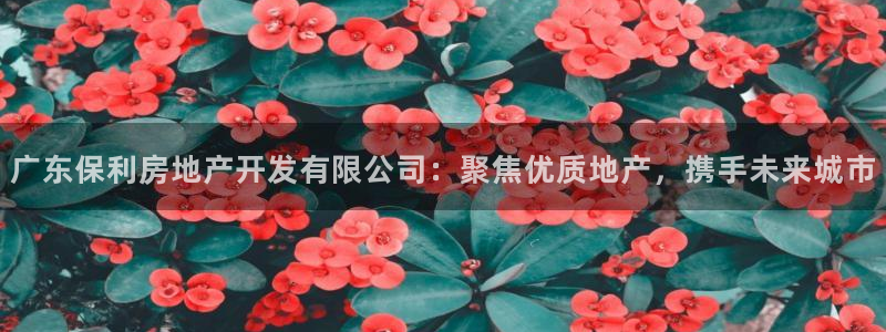万向娱乐app下载官网