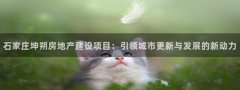 万向娱乐登陆官网