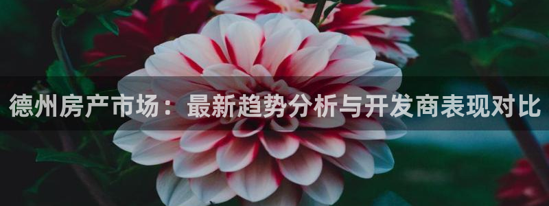 万向娱乐平台代理怎么做赚钱