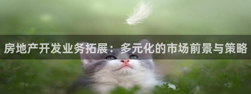 万向娱乐官网下载安装苹果