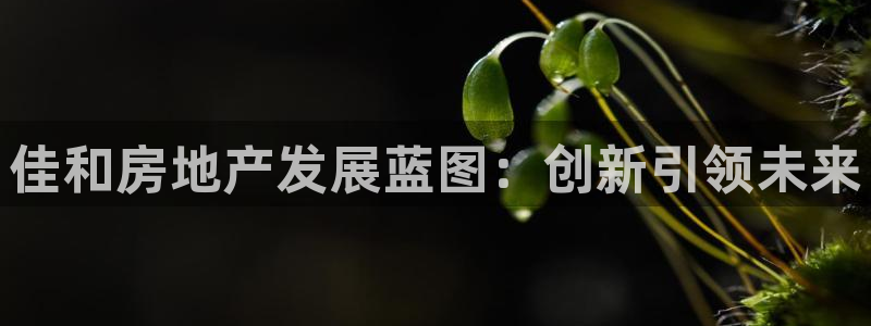 万向娱乐的联系方式